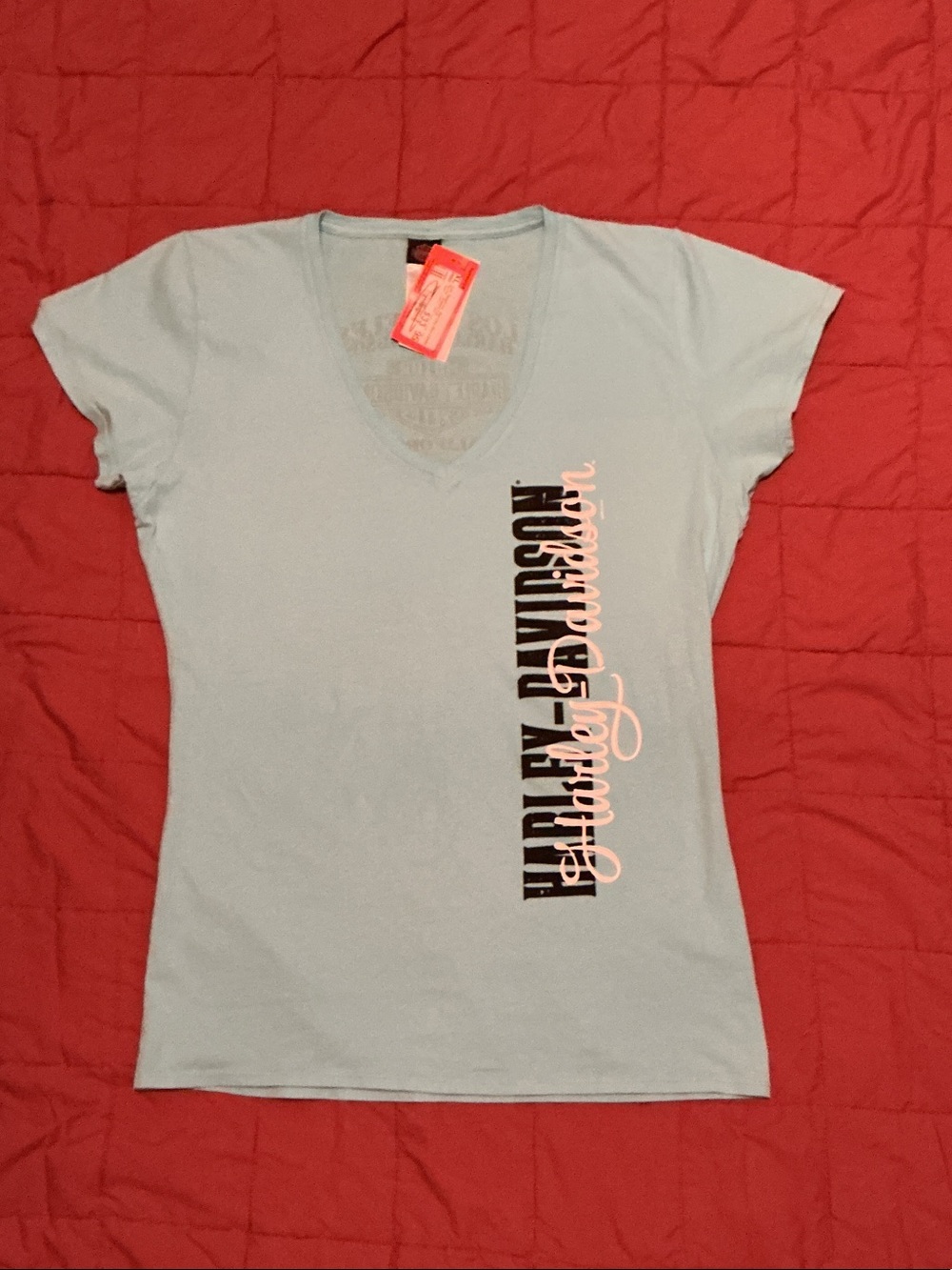 Harley-Davidson Light Blue V-Neck Graphic Tee